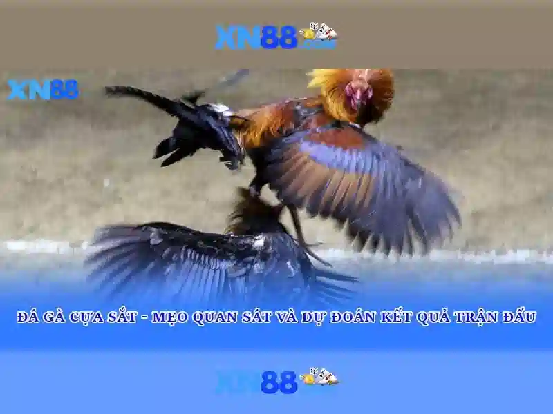 💎play the slots for free💎