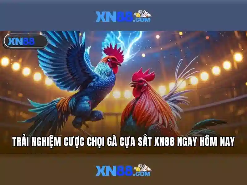 💎nhà cái tuyển dụng💎