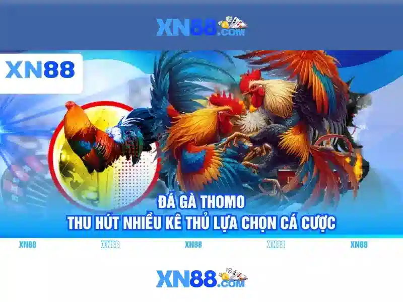 💎nhà cái uy tín i9bet💎