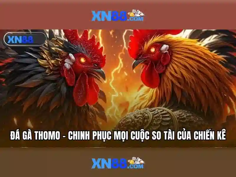 💎top nhà cái uy tín nhất việt nam 2024💎