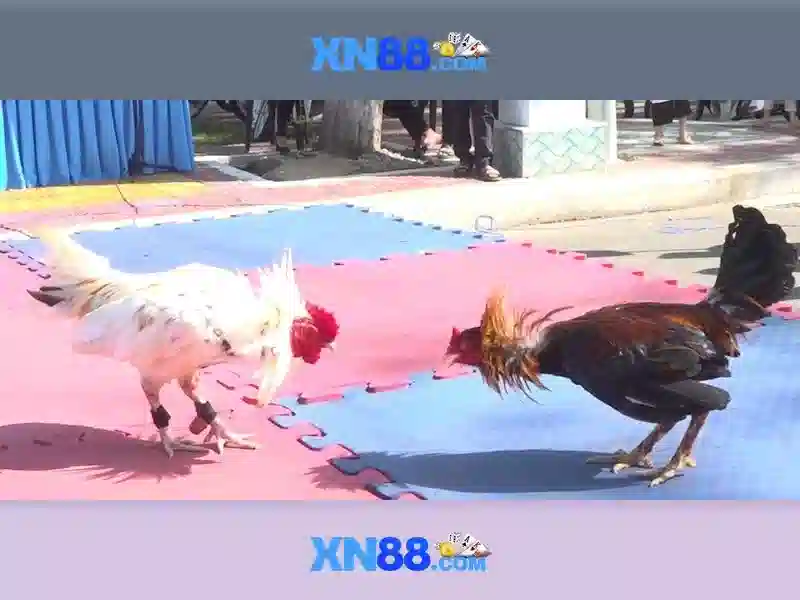 💎what is slot in tagalog💎