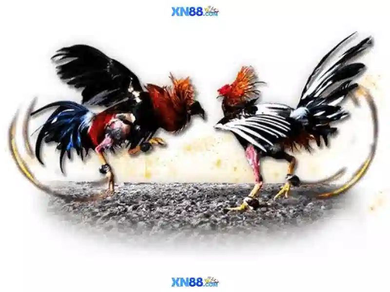 💎keo nha cai aff cup 2022💎