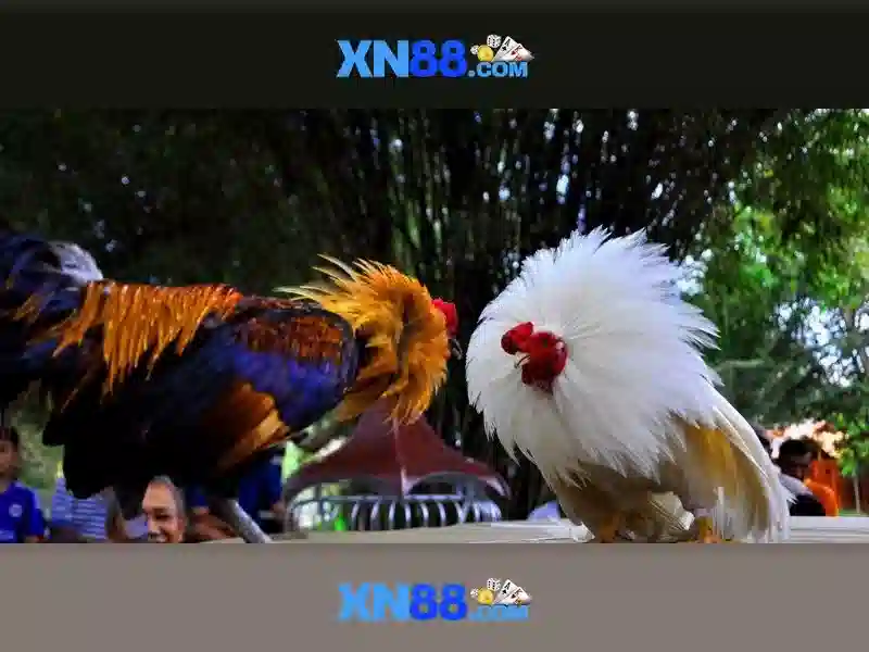 💎slots to play for real money💎