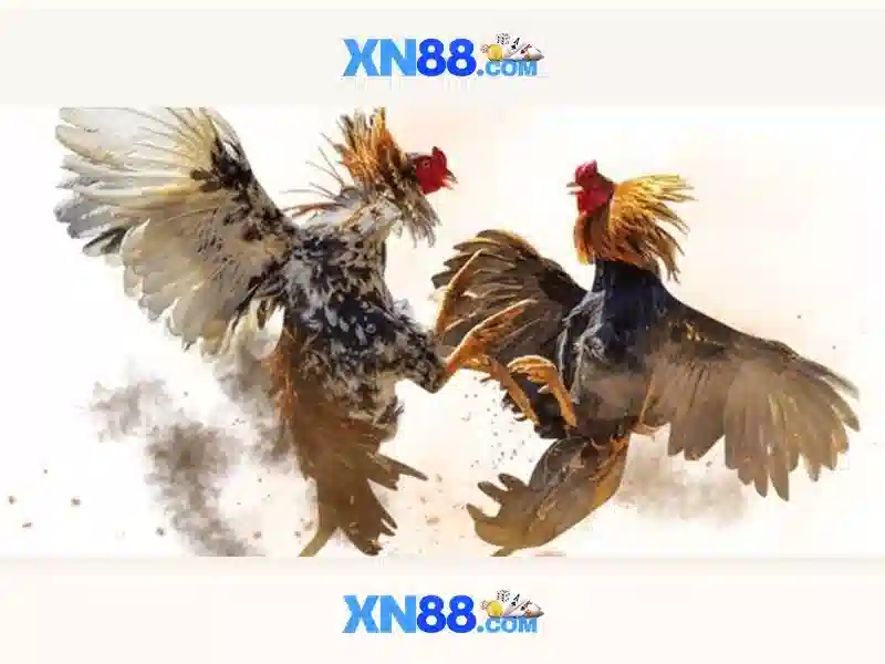 💎11bet nha cai uy tin💎