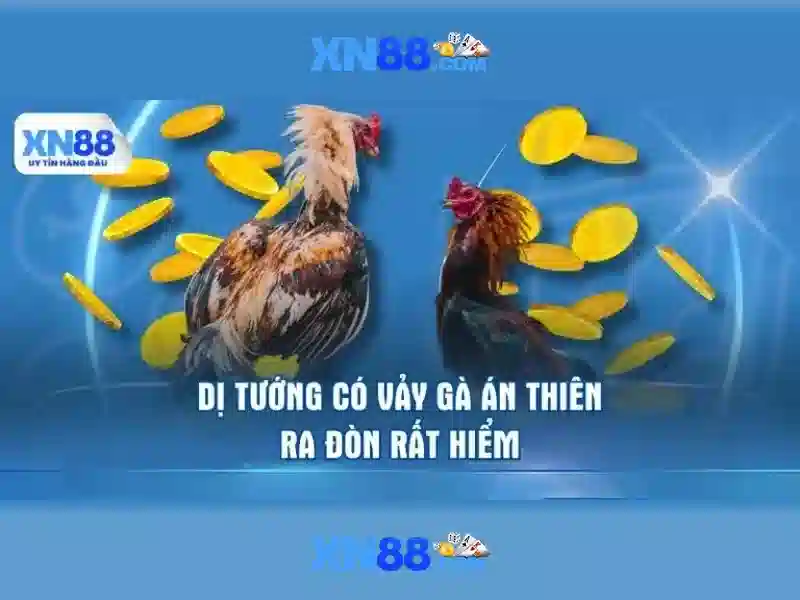 💎keo nha cai viet nam uae💎