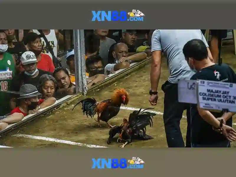 💎hb88 cổng hb88 game hb88💎