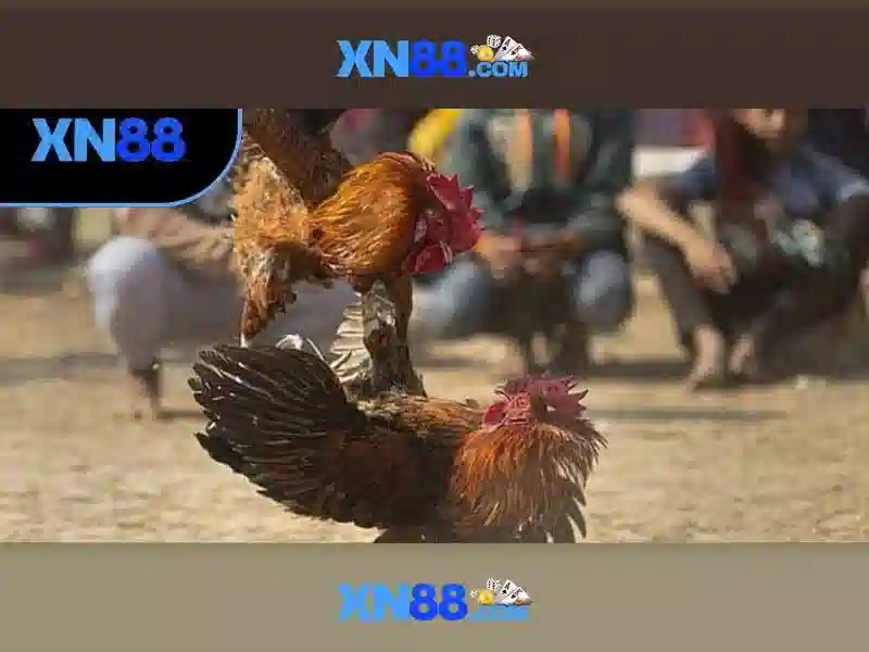 💎slot xn88 deposit pulsa tanpa potongan💎