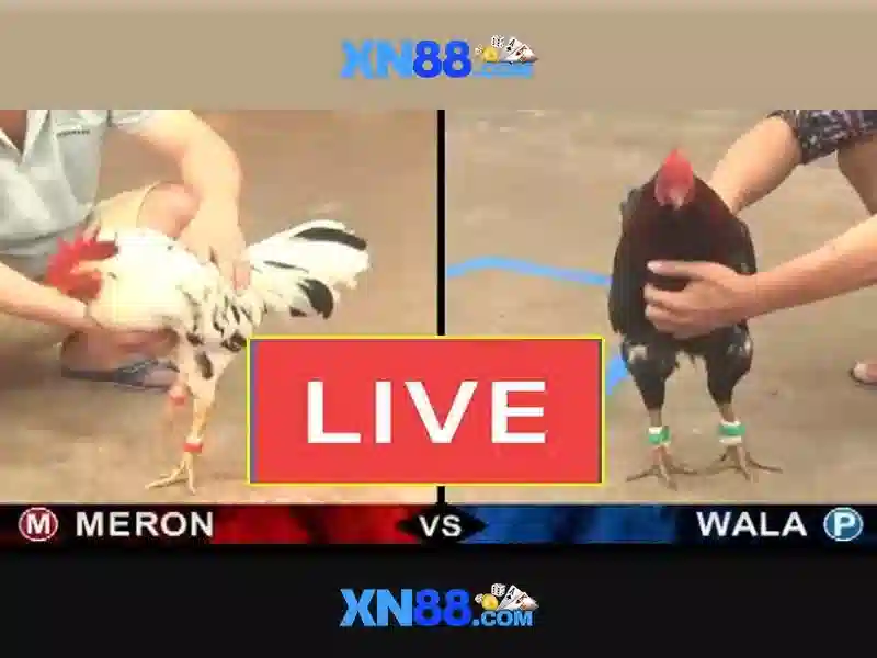 💎ceo keo nha cai💎