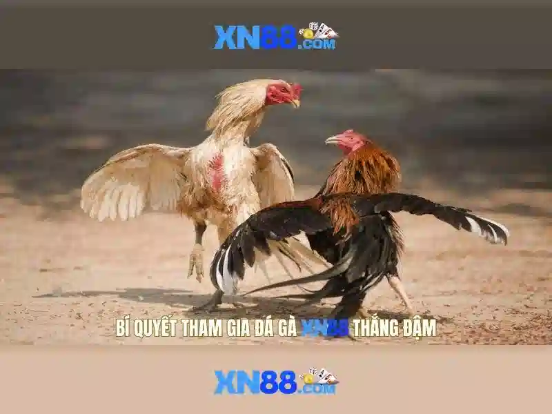 💎888slot game super ace💎