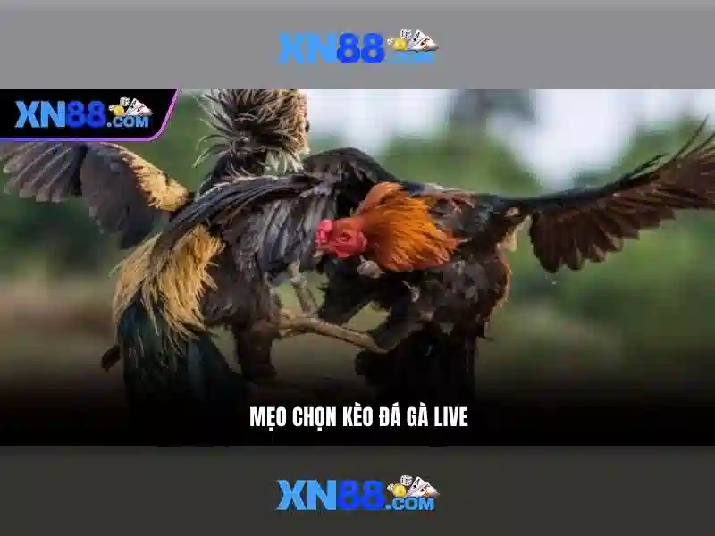 💎888slot event center💎