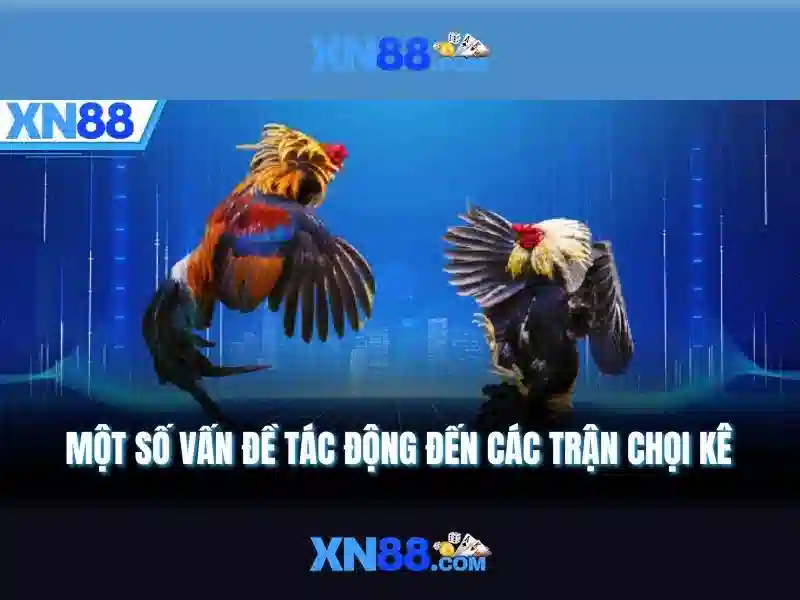 💎nhà cái uy tính nhất hiện nay💎