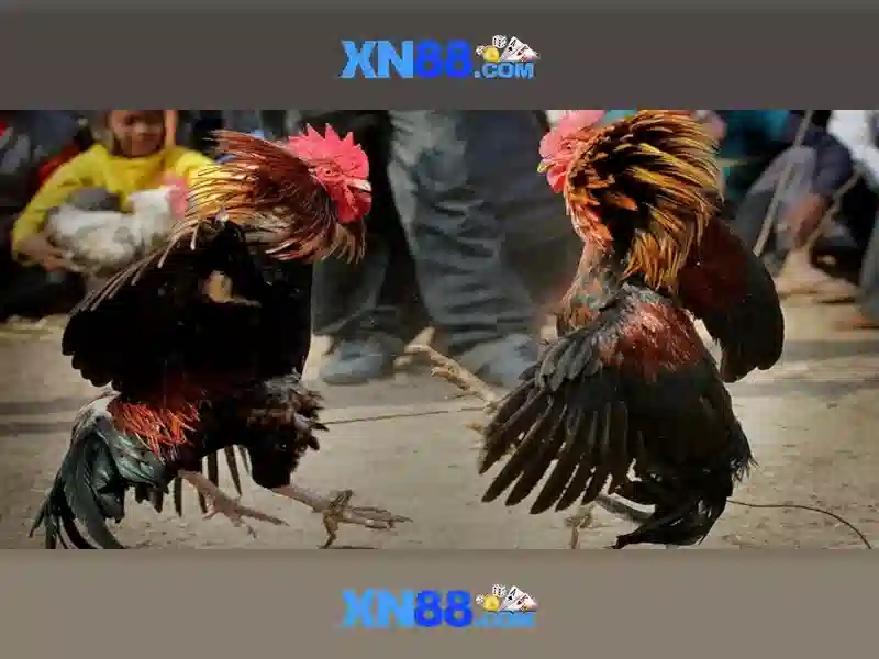 💎888slot đánh giá💎