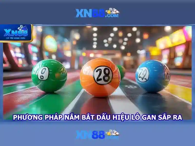 💎12 slot decoy bag💎