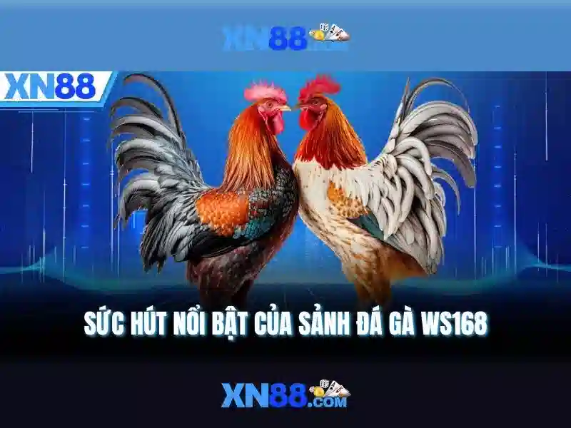 💎hack slot gacor💎