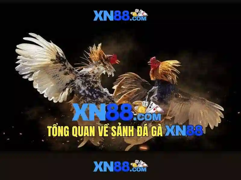 💎tỷ lệ cá cược thái lan singapore💎