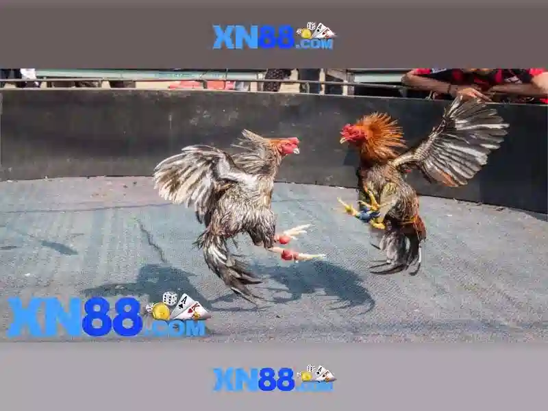 💎all slots instant play💎