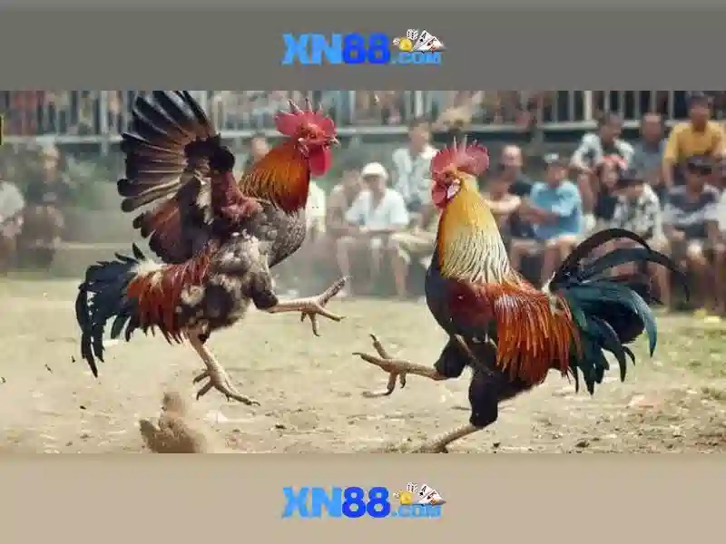 💎nơi nào bác sống một thời?💎