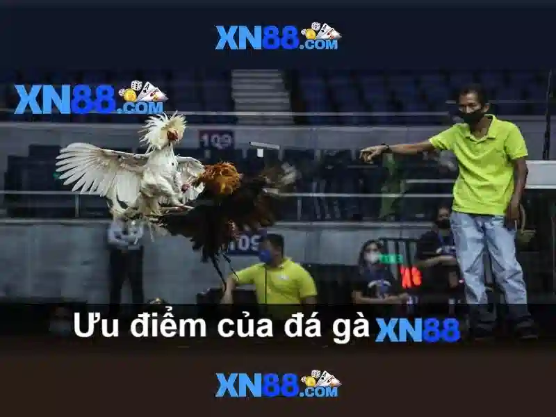 💎app mb66 mb66 link nhà cái mb66💎