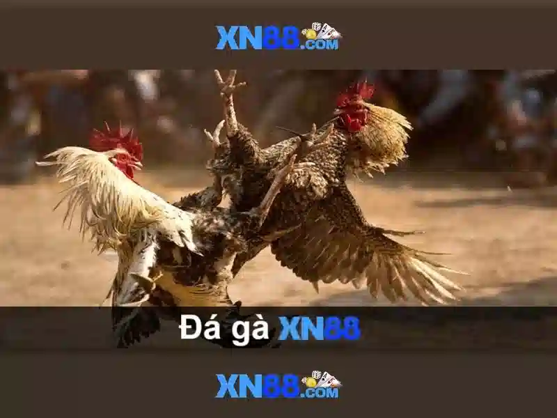 💎888 slot - casino uy tín thành phố hồ chí minh💎