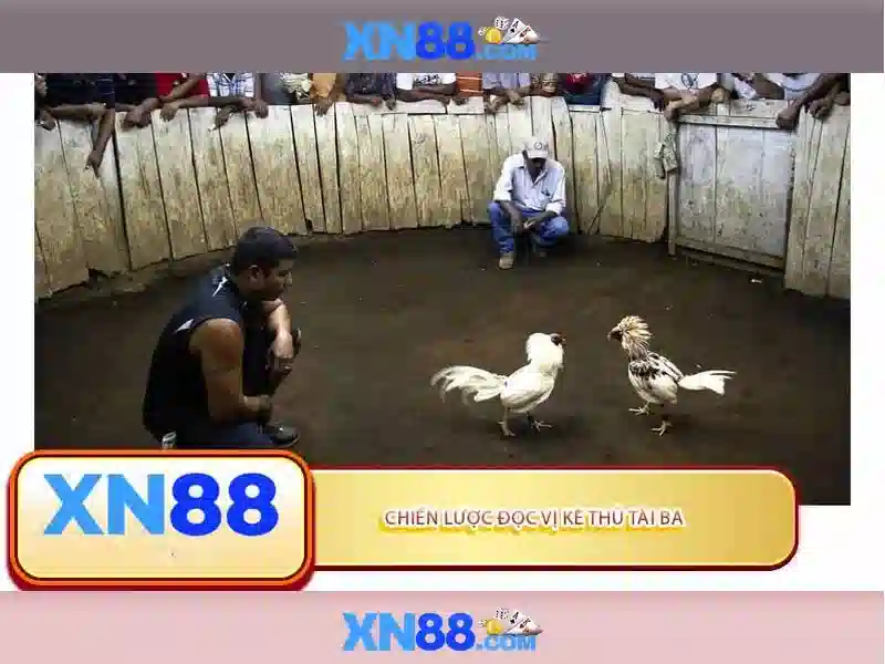 💎bit starz slots vipbtc2025.com💎