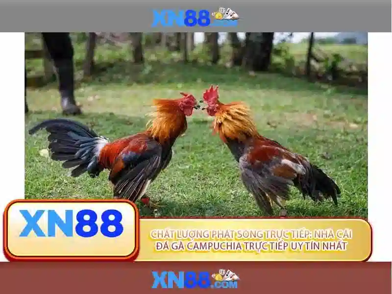 💎888 slot - lengbear poker slots💎