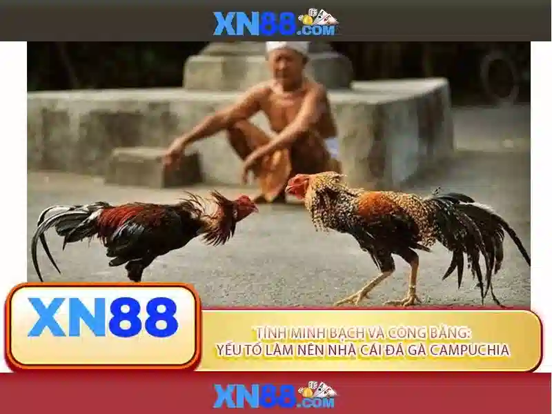 💎aaa xn88 casino login registration💎