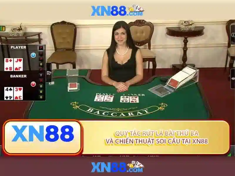 💎xn88 v north carolina summary💎