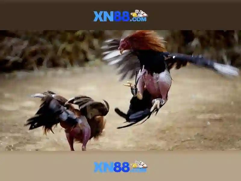 💎wallet with a lot of credit card slots💎