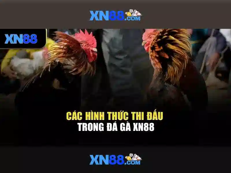 💎hb88 sam thành phố hồ chí minh💎