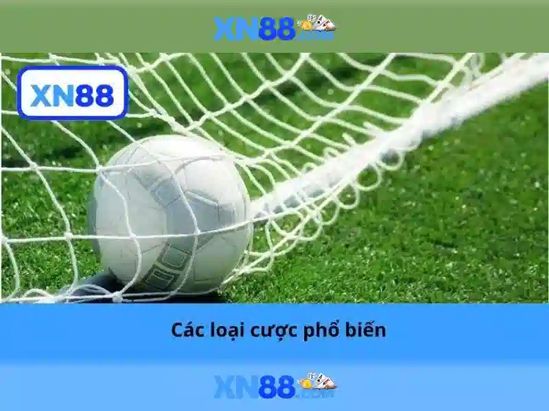 💎trang cá cược thể thao winchestermass💎