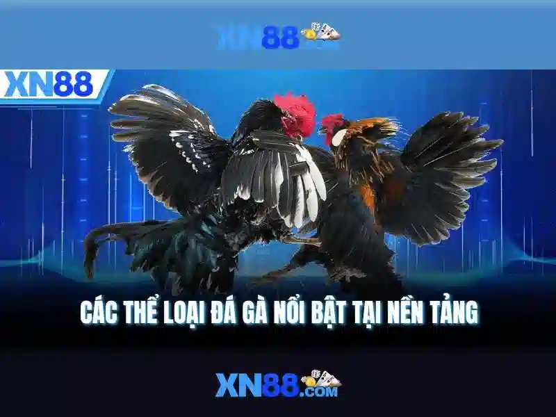 💎kèo nhà cái kết quả bóng đá hôm💎