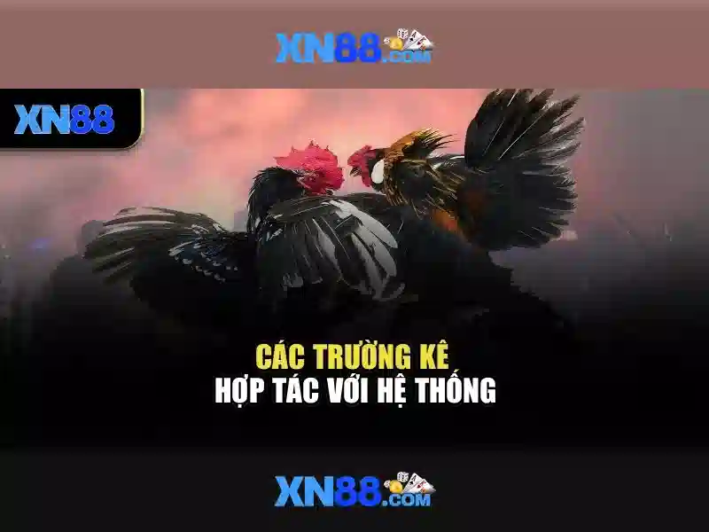 💎xn88 caishen slot demo💎