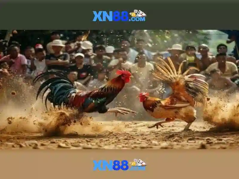 💎link 66b💎 - liên hệ 66b - 66b nguyễn si sách