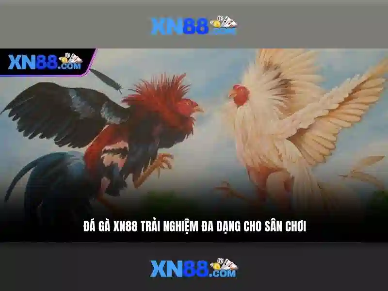 💎nhà cái uy tín .us💎