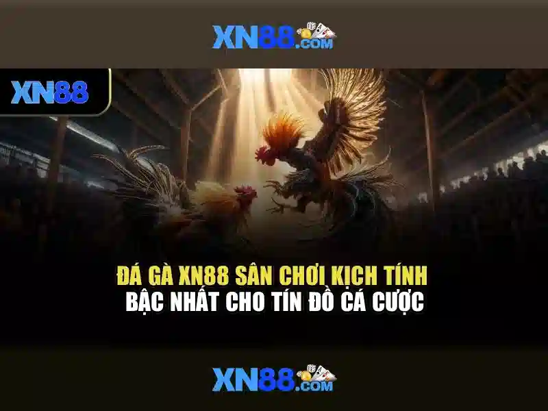 💎hoki 118 slot💎