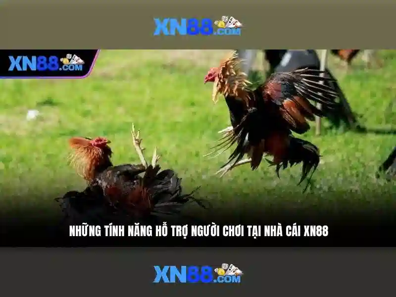 💎xn88 app casino login💎