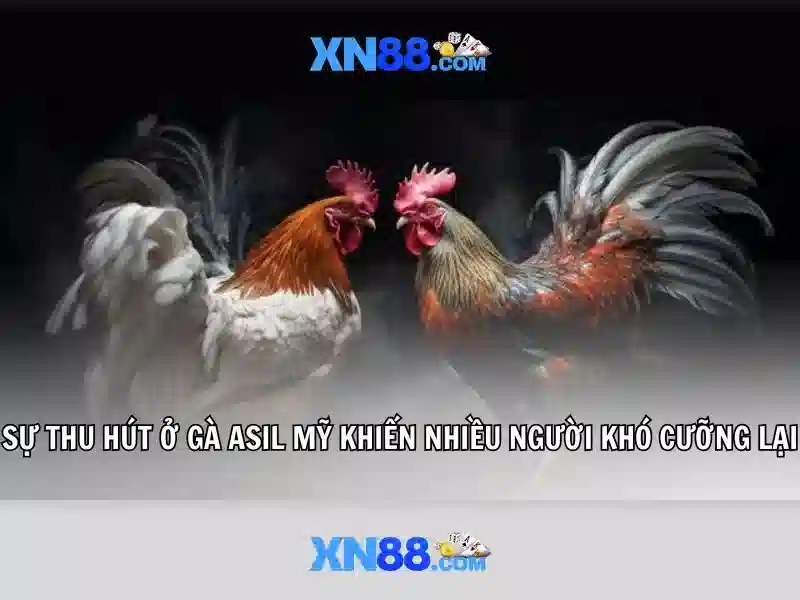 💎123 xn88 login registration💎