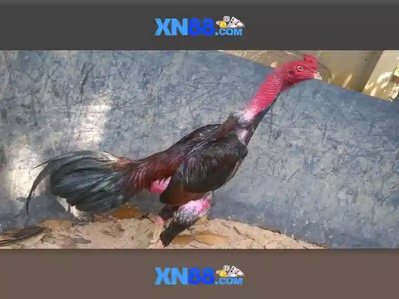 💎coffee wild powernudge slot free play💎