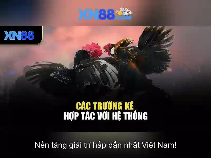 💎xn88 slot voetballer💎