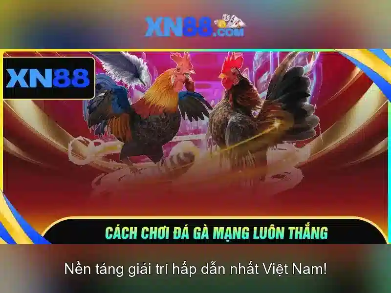 💎các nhà cái uy tín tutbn💎