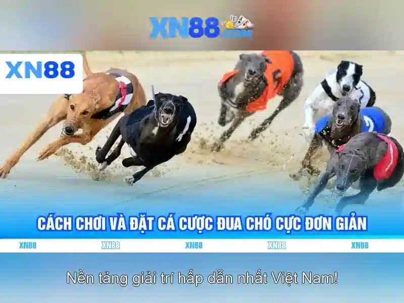 💎66b nguyễn sỹ sách tân bình💎 - 66b nguyễn sỹ sách phường 15, quận tân bình - chăm sóc khách hàng 66b