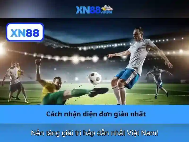Miễn Trừ Trách Nhiệm XN88 – Cập Nhật Điều Khoản Mới Nhất Cho App XN88 - XN88