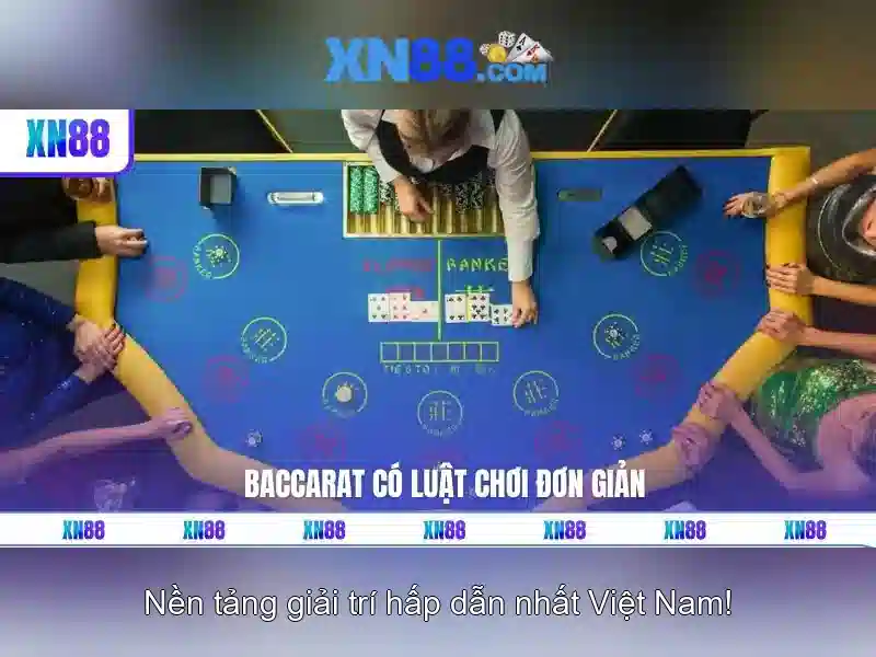  chăm sóc khách hàng - XN88