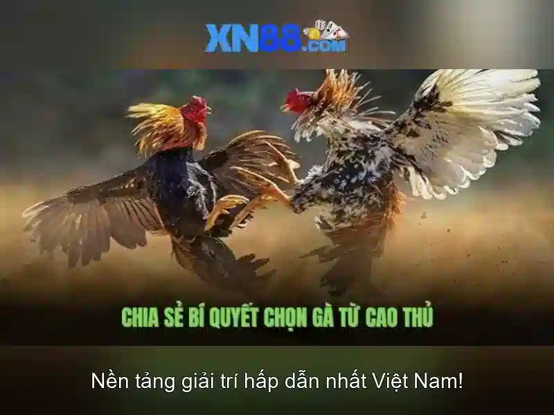 💎100 888 slot log in💎