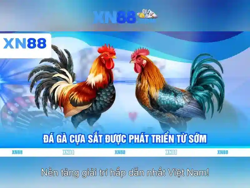 💎cầu tràng tiền ở huế được bắc qua sông .💎