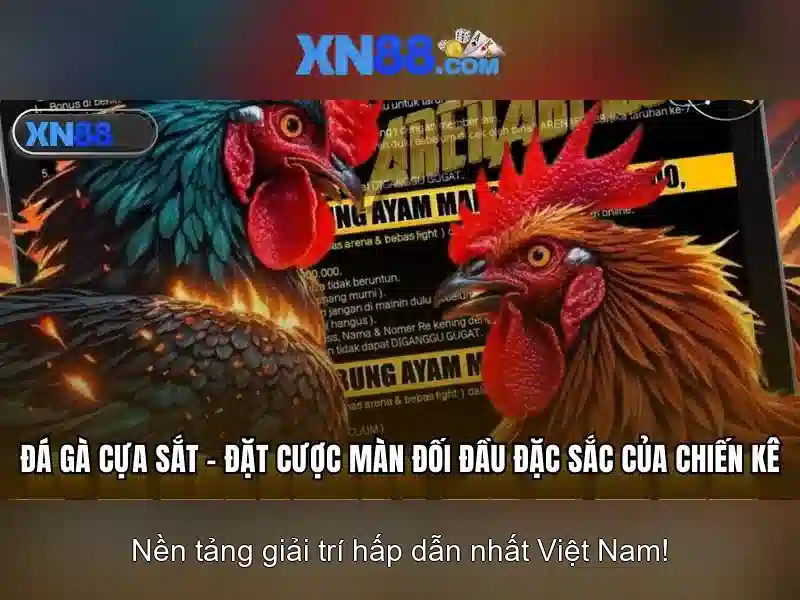 💎slot dana server💎