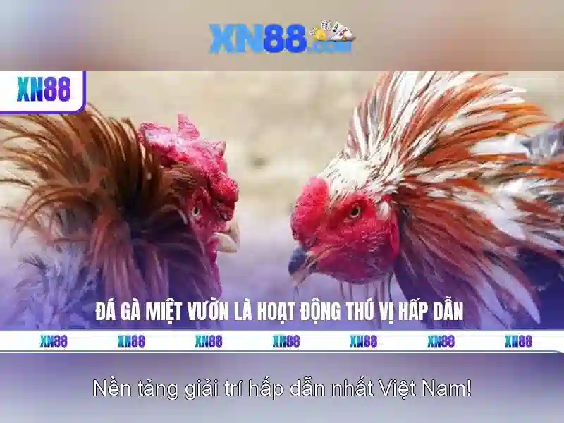 💎bài đánh giá về bác sĩ võ tấn long💎