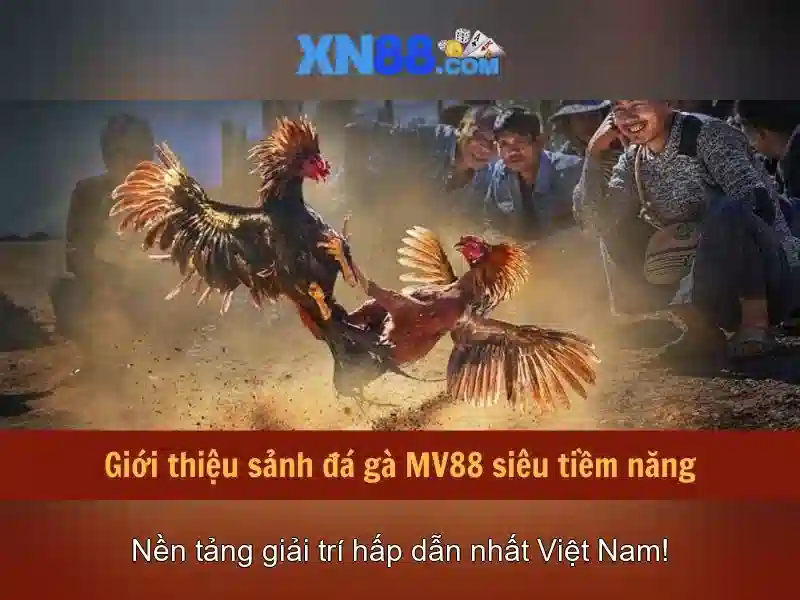 💎slot kapot bleiswijk💎