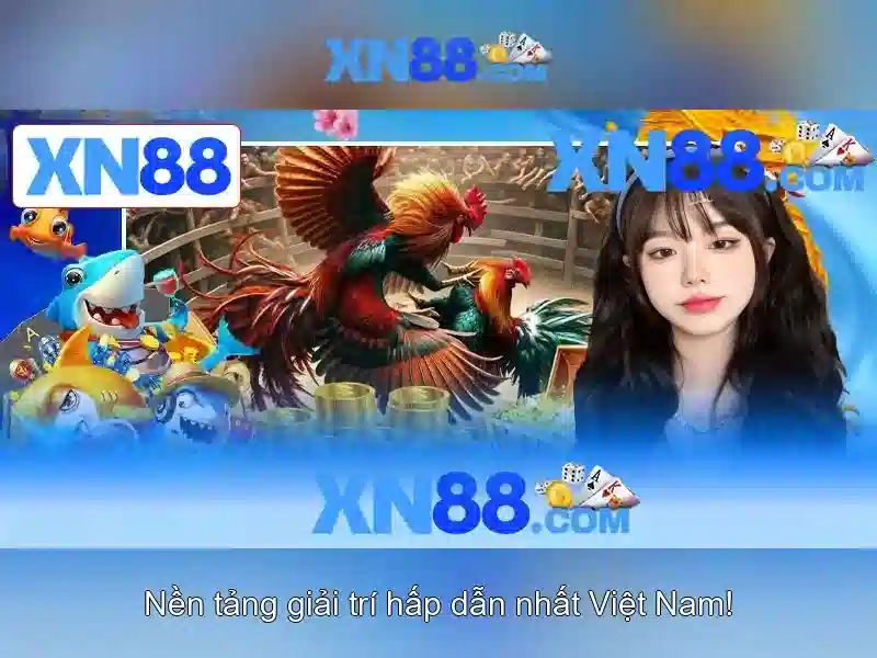 💎nhạc sống tây bắc gặp nhau giữa rừng mơ💎