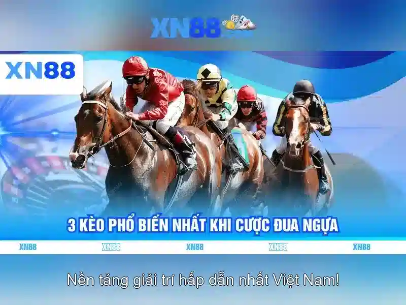 💎rummy xn88💎